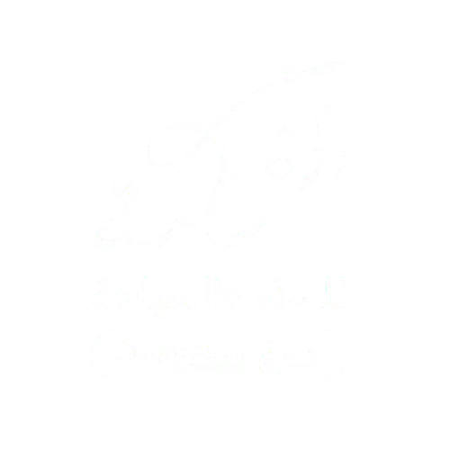 Partner logo 2